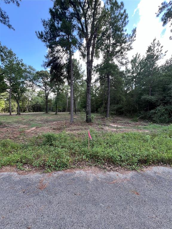 TBD Lot 2 Deerwood Drive , Plantersville, Texas image 6