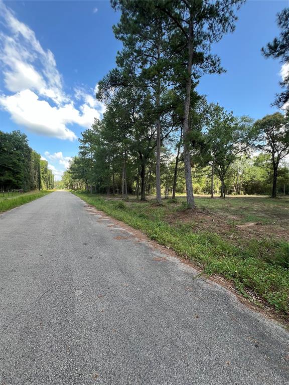 TBD Lot 2 Deerwood Drive , Plantersville, Texas image 8