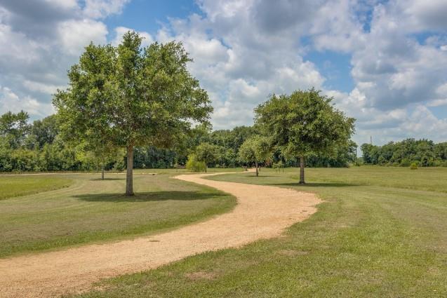 923 Rosewood Trail , Beasley, Texas image 8