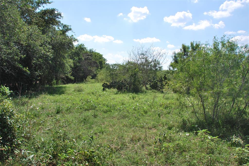 TBD Cr 457  , Gonzales, Texas image 8