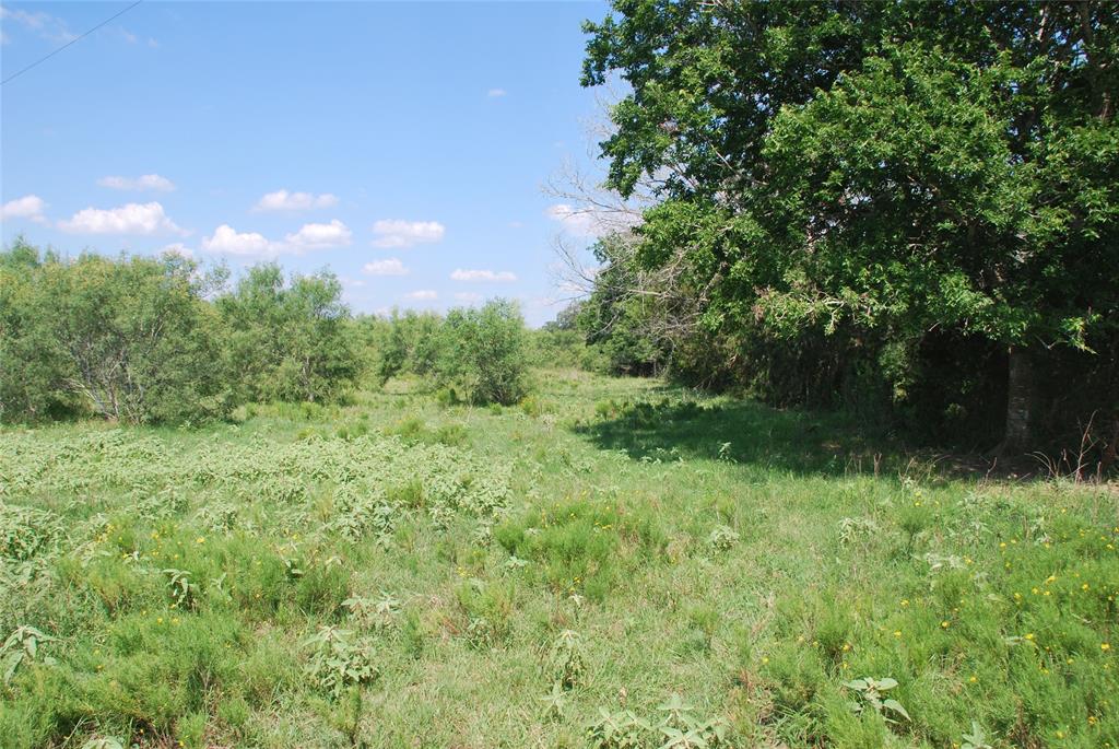 TBD Cr 457  , Gonzales, Texas image 9