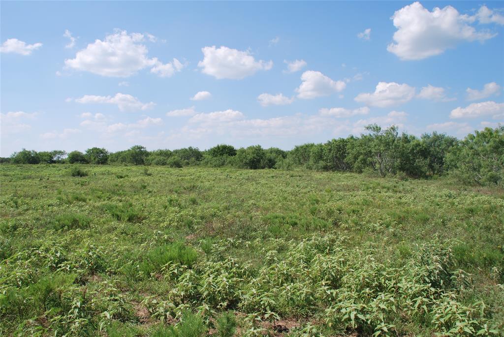 TBD Cr 457  , Gonzales, Texas image 10