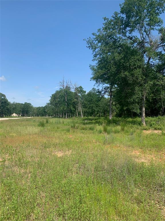 Lot 19 County Rd 389