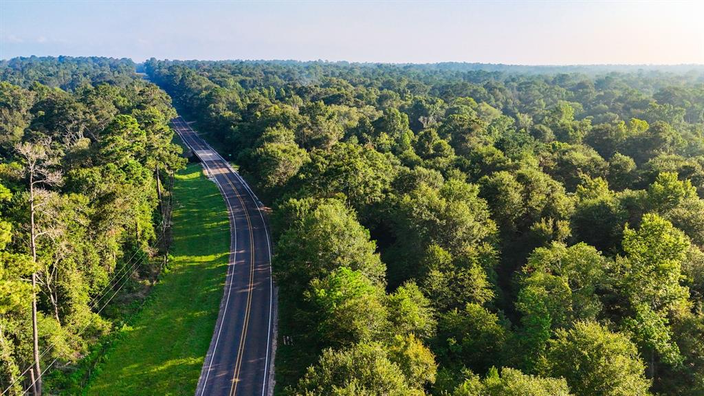 124 acres of prime real estate, ideal for a Commercial or residential development. Perfect location for an RV Park or Neighborhood with a natural creek on FM 222. City water and sewer available. Located in a rural small town just 60 miles from Houston and a short drive to Lake Livingston.