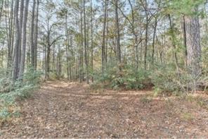 16400 Fm 1097, Willis, TX, 77378