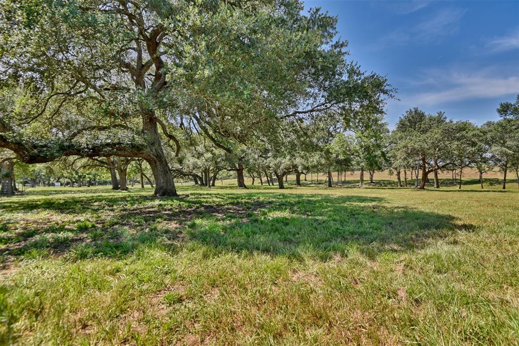 Situated between Houston & San Antonio, this +/-50 acres is well-positioned 5min south of I-10 Exit 682. This exceptional property features a nice mix of recently renovated pastureland for livestock & partial woods with cleared underbrush. The front of the property has a manicured, park-like setting highlighted by heritage Live Oak & Pecan trees! An all-weather gravel road leads you through the new pipe entrance & over seasonal Cottonwood Creek to access the back. Features electricity, water well, perimeter fencing & pond. Consists of clay to loamy fine sand soil with +/-330' to +/-380' elev. (NO FLOOD PLAIN). Bordered by similar to larger size neighbors. Rectangular shape (+/-690' x +/-3,100'). No pipelines or easements. Ag-exempt. Existing survey available. Located less than 1 hour from Buc-ee's in Katy. This premier property offers an unmatched home site for permanent resident and/or use as a recreational retreat for weekender/outdoorsman!
