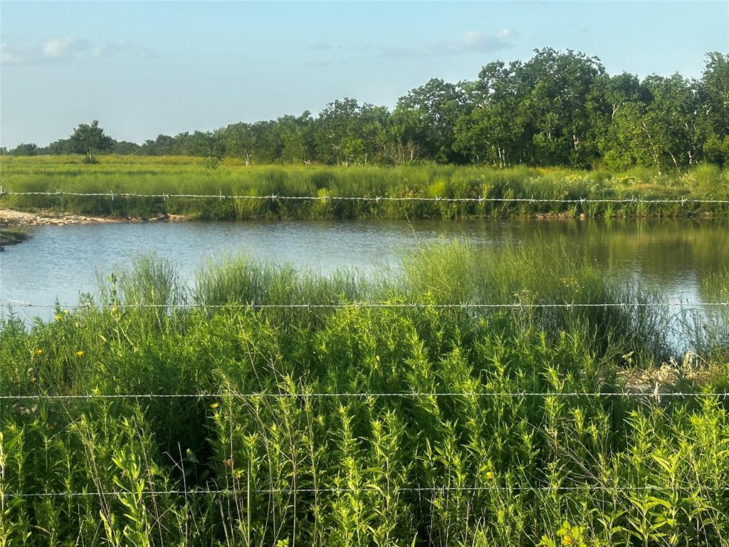 This acreage encompasses a vast expanse of land, spanning several acres, providing you with plenty of room to design and build your dream home and establish areas for your livestock. A pond at the front of the property provides a reliable water supply for your livestock and creates a soothing ambiance. The acreage is fully fenced and has a gate at the entrance.  Included are electricity and a fully functioning water well.  Schedule your appointment today!  Light restrictions!