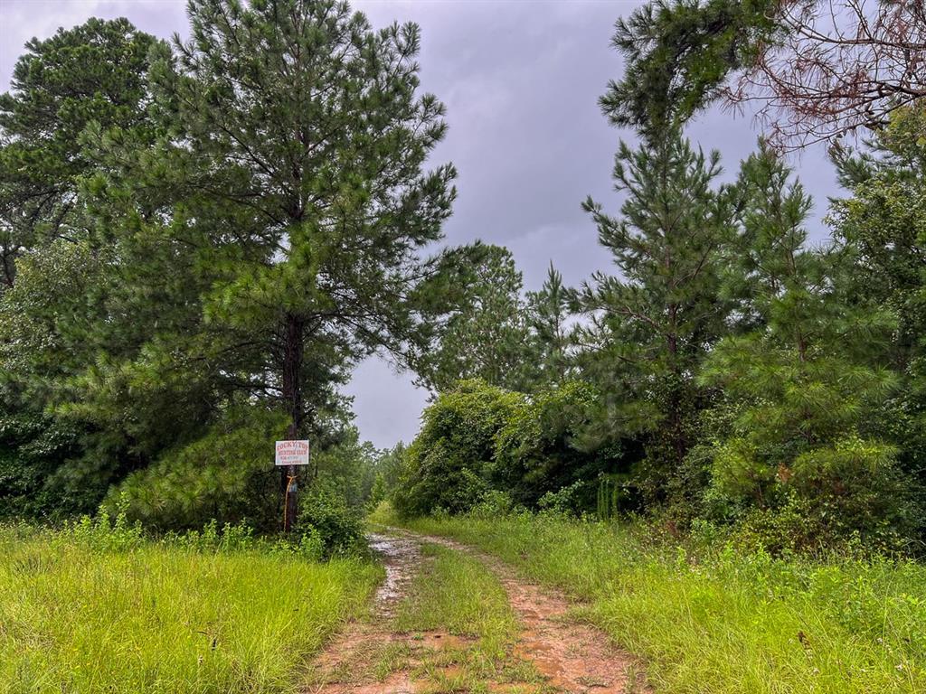 Secluded, private, off-the-grid, YET, with electricity. Wooded and beautifully rolling terrain. Low, to no, traffic ! 1st time open market offering ! Bargain price ! Escape the flooding ! High and Dry ! Gated access !