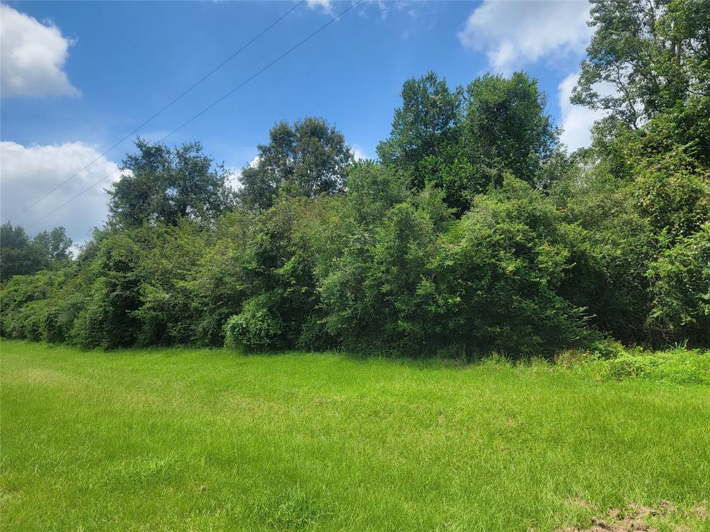 Great piece of property just a few minutes from lake Livingston, the potential is great, quiet and peaceful area, on corner of Farm Pasture Rd. and Grist Mill Ln.