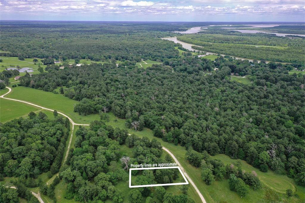 Discover this 0.5 +/- acre lot, located in Trinity Plantation. The community offers a golf course and limited access gate. Property is high and dry with no flood plain. Low Tax Rate. A perfect blank canvas ready for you to build your home! Call today to schedule your showing.