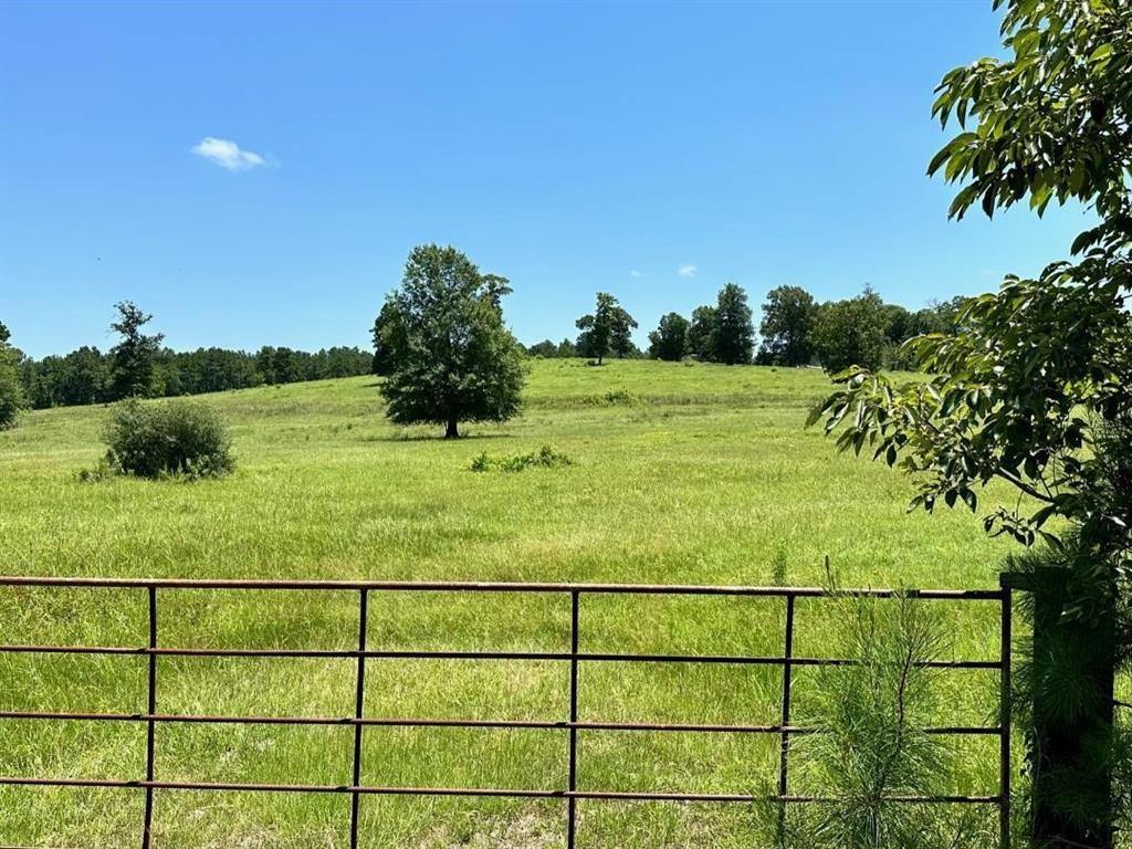 Beautiful acreage just outside of Groveton with plenty of Hwy frontage.  Perfect for your dream home with just over 31 acres of gently rolling topography this fully fenced property has plenty of pasture land.  The location offers the best of both worlds with cleared Hwy frontage and a gorgeously wooded backdrop, located within close proximity to the Davy Crockett National Forest.