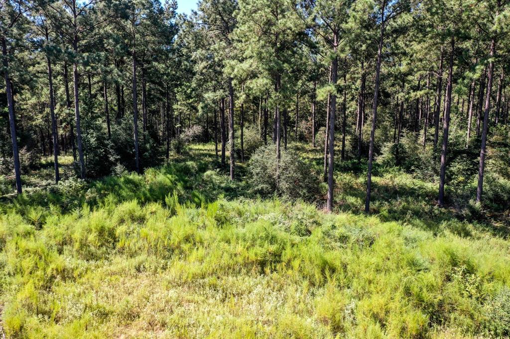 8.6 +/- acres located just outside Trinity city limits. The land has nice rolling topography, with a dry creek traversing a portion of the property. Nice stand of softwoods offers plenty of privacy with a cleared area that would make a great homesite. Property is intersected by a county maintained road, with electric nearby. Land is high and dry with no known restriction and a low tax rate. Come make this property your own!