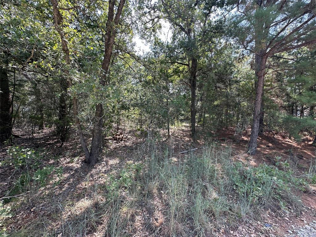 109 Chippewa Trail