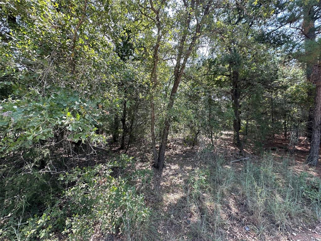 109 Chippewa Trail