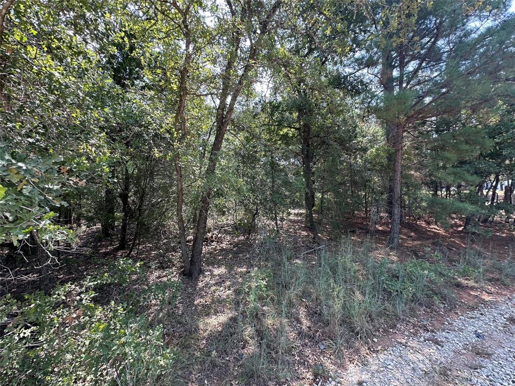 109 Chippewa Trail