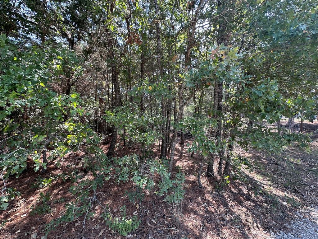 111 Chippewa Trail