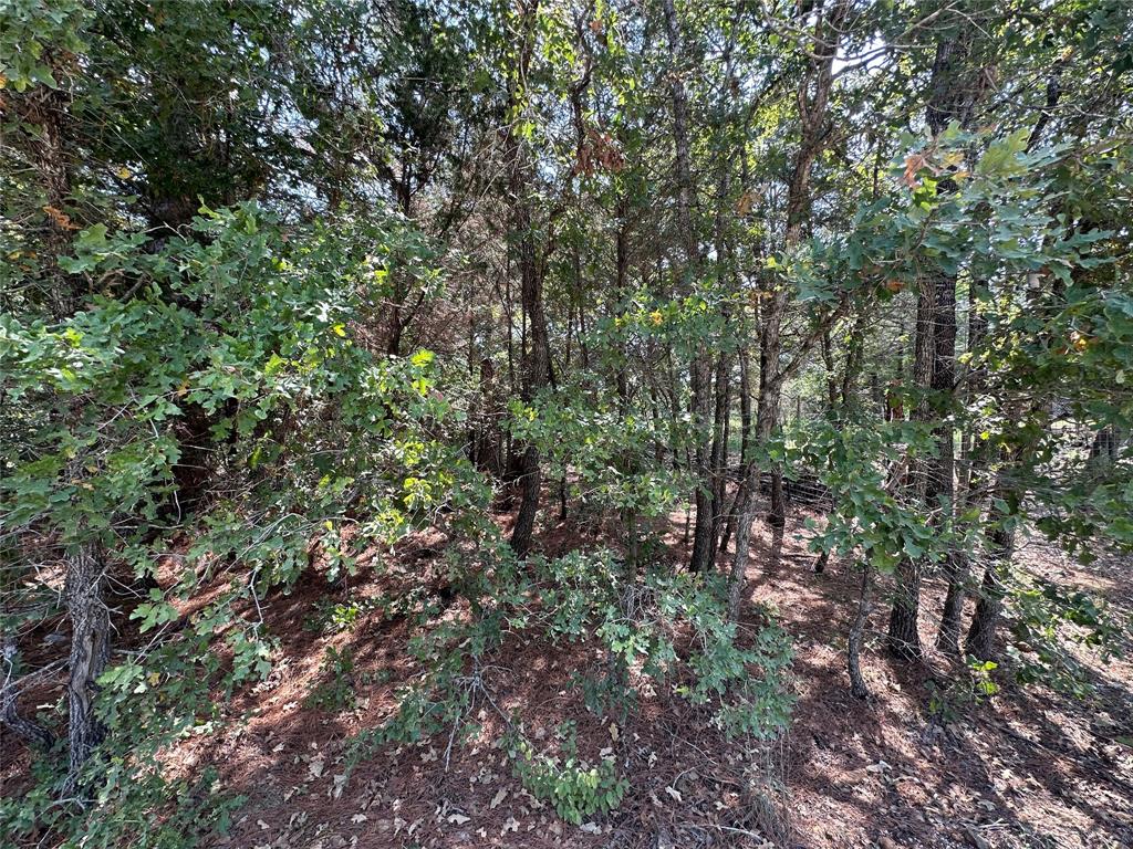 111 Chippewa Trail