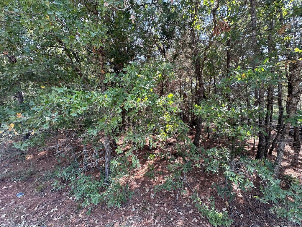 111 Chippewa Trail