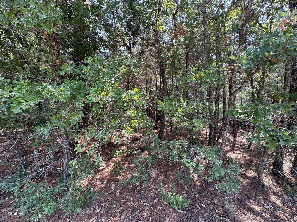111 Chippewa Trail