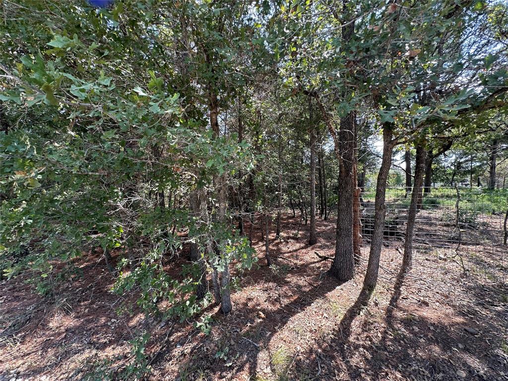 111 Chippewa Trail