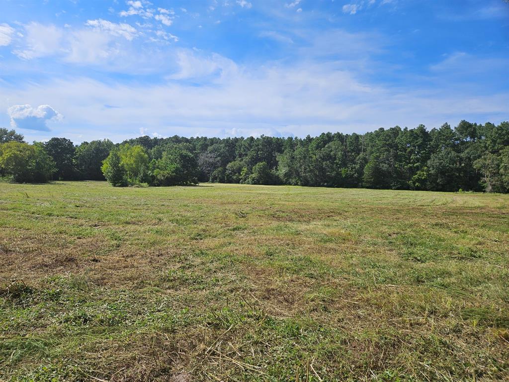 Nice open pasture/hayfield with clusters of trees and a small pond.  Approximately 547 feet of county maintained frontage along Sullivan Road.  Property is currently on the Ag exemption and has been used for cattle and hay production in the past.  Has several locations that could be used for a homesite.  An abundant amount of wildlife located in the area.  Electric and water located near by.  Please call today, by appointment only.