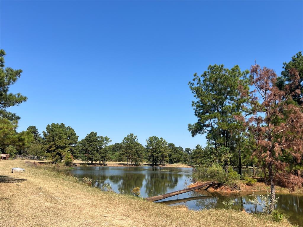 Approx. 450 FT of frontage on CR 410 running back 1800 Ft for a total of 18+ acres. Beautiful rolling terrain with a small creek and a pretty pond. 5050 Mix of large trees and nice pasture. Located just .4 miles off Hwy 105 only a couple miles from Navasota. Power runs across the back of the property and public water are available in area. Several nice building sites. Light restrictions TBD. Intended to prevent junk yards or industrial activities.