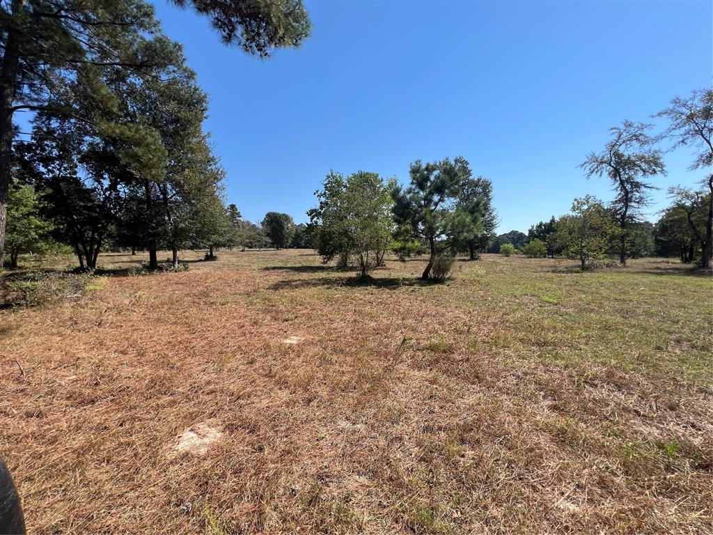 10 Acres of rolling terrain with Approx 250 Feet fronting CR 410. Great potential for homesite or ag investment land. Power and public water available in area. Highly desirable area .3 miles off Hwy 105 just over 2 miles from Navasota off. Light restrictions TBD. Intended to prevent junk yards or industrial activities.