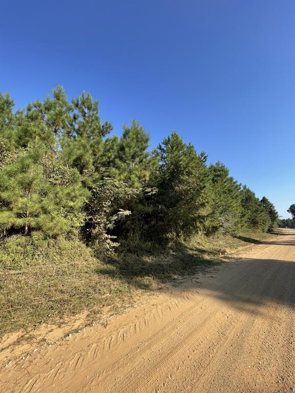 Beautiful wooded property, partially fenced.  Restrictions in place.  Electricity at road.  Buyers will need to a water well and septic to finalize utilities.