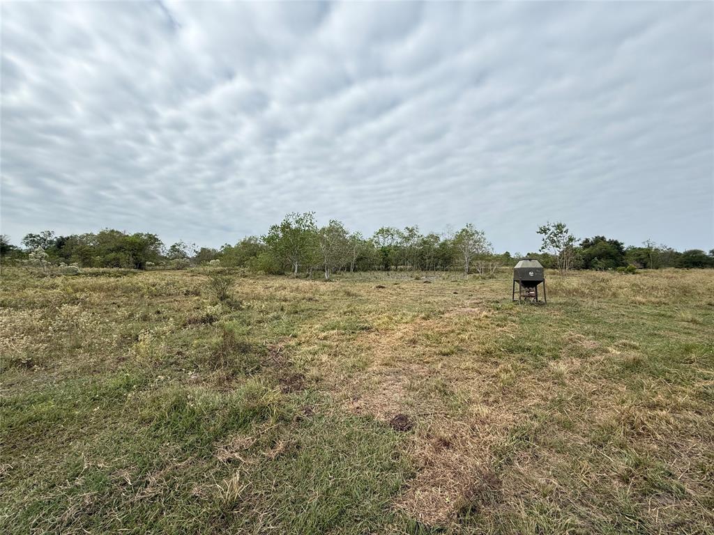 30 acres along CR 26, only 10 minutes from West Columbia. Nice shaped rectangular tract with good frontage along CR 26. Many young live oaks dot the property. Approximately 90% out of floodplain - zone x. Tons of deer and hogs. Excellent homesite. Ag exemption in place, so taxes are minimal. Won't last long, call today!