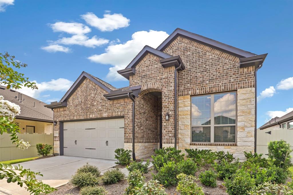 10751 Chinese Violet