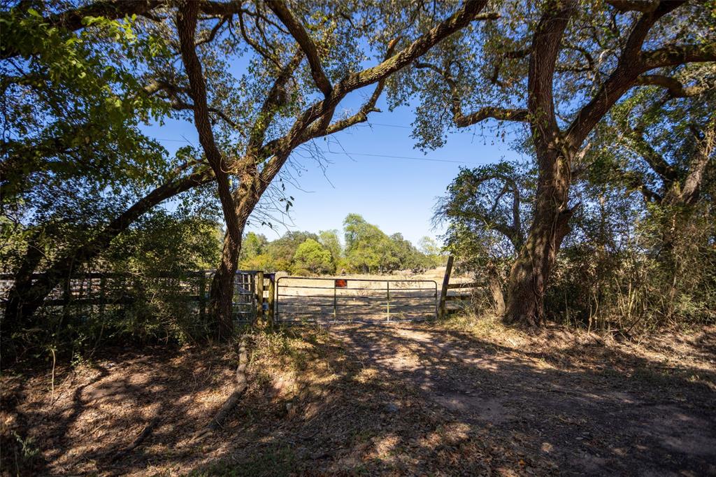 This nearly 25 acre rural retreat is the perfect canvas for those looking to escape city life. Whether you're planning to build a private residence, develop a sustainable farm, or create a recreational paradise, this property offers endless possibilities. 20 minutes from downtown Columbus, this property offers breathtaking sunrises and sunsets and is a haven for wildlife such as deer and other native species frequenting the area. Your ag exemption is already in place with utilities available nearby and is easily accessible via a maintained county road. Call for your showing today!