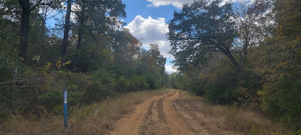 This property is located close to the I45 and the Leona General Store.  Three tracts selling all together with total of 22.37 Acres. There is a small storage located on tract #27.