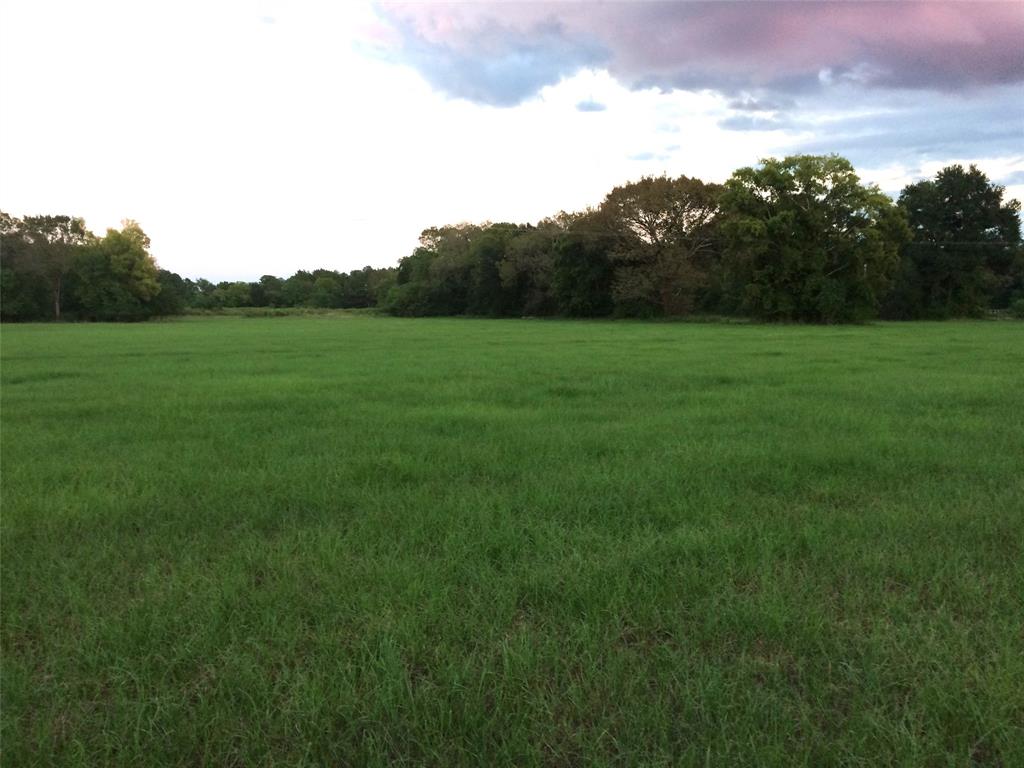 This property has endless potential, the combine 3 tracts of land equal a total of 28.22 acres. There are 2 places it touches Hwy 94 and one place it touches FM 356. It has been used as a hay meadow for many years but could be purchased and subdivided into multiple home sites or could be a great place to build a home and have road frontage for your business.