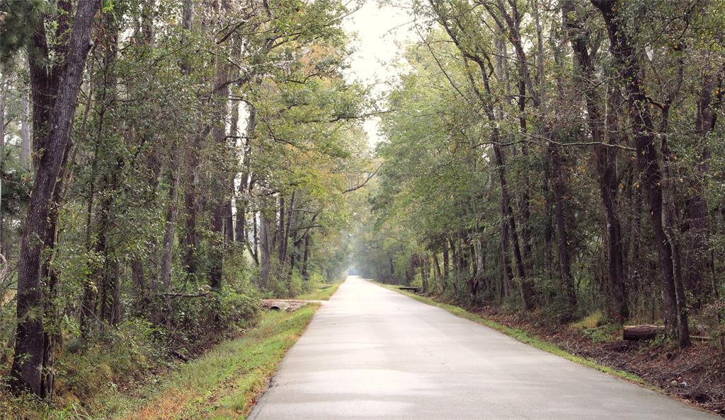 Page 1577 of Luxury Homes & Real Estate For Sale | Greenwood King