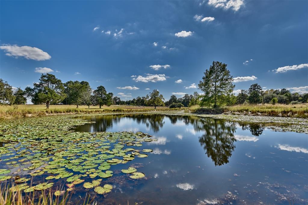 The perfect mix of mature trees and open lush pastures surrounds a stocked pond on these approximate 18 acres in Colorado County. A well-maintained 3/2 mobile home with a new roof and cement board siding enables one to waste no time enjoying the quiet of Weishuhn Road. Currently under an ag-exemption, unrestricted, perimeter fenced, and situated in-between large neighboring tracts.....this property checks all the boxes on most everyone's list - schedule today to see for yourself.