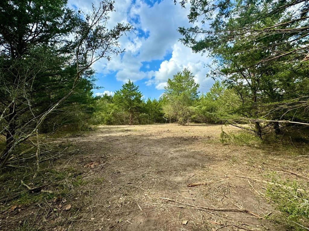 Highly sought after 5.3 acre tract close to the heart of Bellville! This rural tract offers so much that everyone wants with towering trees, trails and privacy at the end of a cul de sac! This tract has been strategically cleared and is now ready for new construction. Enjoy the serenity of this tract framed by natural beauty providing an array of options like creating trails, promoting wildlife surrounded by nature. Perfect for creating your ideal hideaway. Light restrictions provide the freedom to build while preserving the charm and value of this sought-after area. Whether you envision a sprawling ranch home, modern farmhouse, or cozy countryside getaway, this property is a canvas waiting for your vision. Embrace the peace of rural living, just minutes from town. Additional lot connects and is also available to be purchased together or separate.