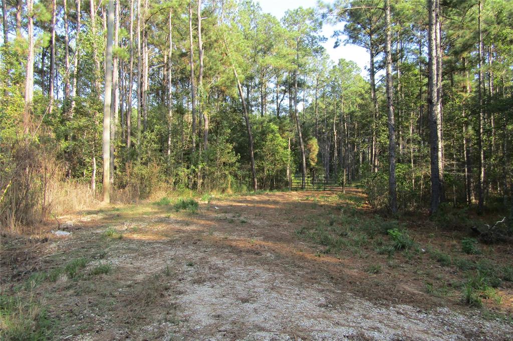 20.01 +- unrestricted acres acres of country living at its finest. This tract features a mature pine plantation, 2 cleared acres with an 80 x 60 engineered house pad. You also get a water well with new pump house, 2 ponds and an aerobic septic system that just needs to be powered. You have plenty of room for livestock and outbuildings. Take advantage of this ready to build on property to make your dream home a reality. You can hunt, fish or just relax on this expansive acreage that is just minutes from the Hwy 69 corridor and approximately 30 minutes from the Houston area.