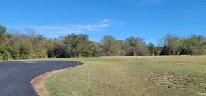 7050 Lake Vista, Streetman, TX, 75859