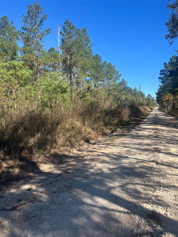 This 60.02-acre property is a hunter's paradise! Ideal acreage for a farm and ranch, hunting camp or just a get away from the city destination. Located between Corrigan and Groveton, Texas, it offers a mix of hard and soft woods, a running creek, and an approximate 20-year-old pine plantation that covers the majority of the parcel. An old logging road runs along the back of the property parallel to the creek, providing easy access and a perfect deer hunting spot. Plenty of deer and hog sign. The property has an old power pole but no meter. It's approximately 10 minutes from Groveton. Current Survey Available!