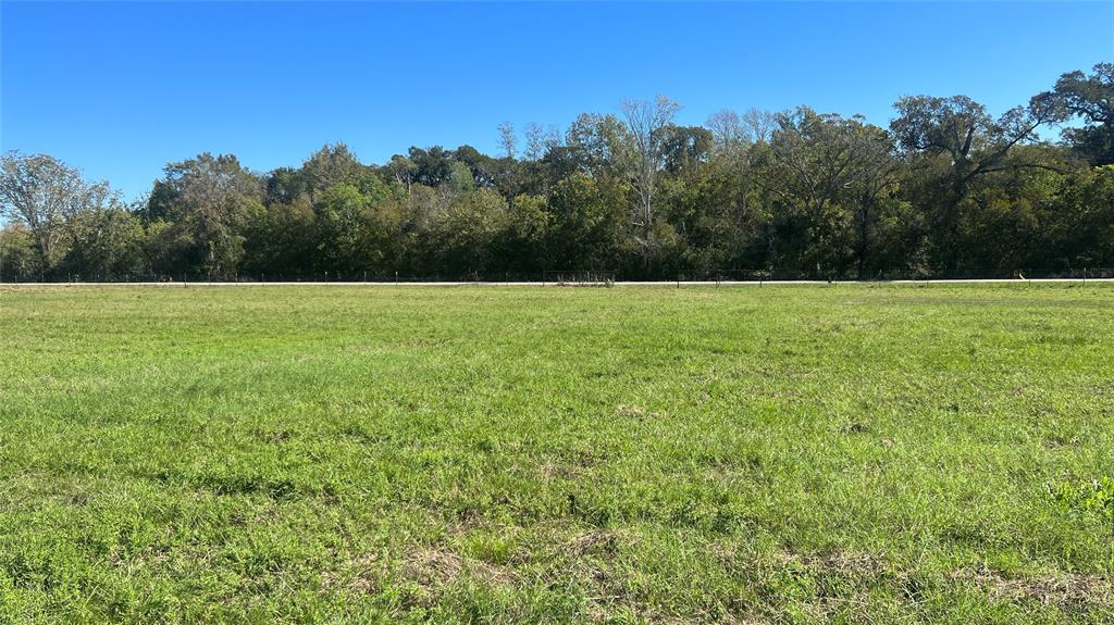 1.25 Acres ready for your new home or business. Located on paved CR 319 with public water available in area through G&W Water and power available in area through Entergy. This versatile piece of land offers endless possibilities. Build your home, barndominium or bring the RV. This land can be mixed use, have your home and business all in one location. Enjoy being located near WildFlyer Mead Co. With easy access to Hwy 6, only one mile, you can be in Navasota in 10 minutes or College Station in 25. If you need to get to Houston, it is easy commute as SH 290 is only 12 miles away. Light covenants to keep the property free of rubbish, unsightly junk cars etc. Rare opportunity to get land with light covenants that can be a combination of both residential and commercial. Come pick your favorite lot.