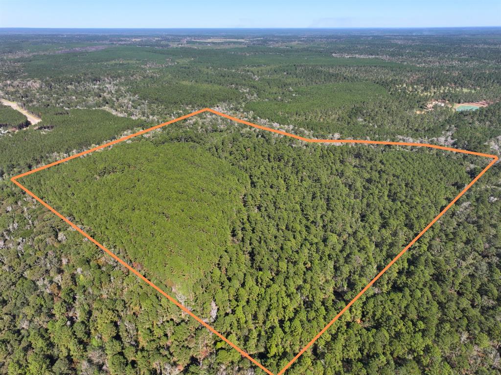 Rare opportunity just outside of Willis, Tx! Unrestricted acreage located at the end of Tanyard Road off of FM 1097. This area is wildly desirable – Tanyard Road features beautiful country properties along with the new Republic Grand Ranch along the North side of Tanyard and adjoining the property. The 83 acres features a mix of mature pine and hardwood with Peach Creek running along the Eastern border. Minimal floodplain along the creek with huge hardwoods and natural flowing water. Suitable for development or personal homestead!