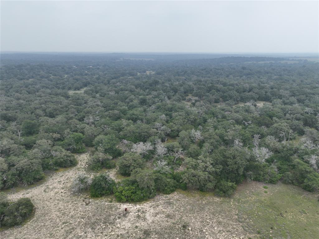 Close to San Antonio and Austin. Seller will install the private road, fence the tract, install farm gate and bring power to the tracts.
Current gate is open to view the property. When the property is fenced a new gate entrance will be constructed for this tract.
Part of Tax ID 72336