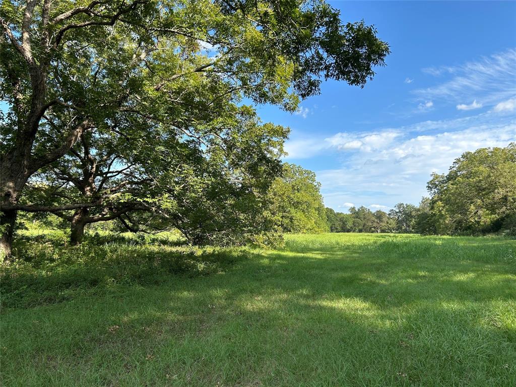 Take a look at this 21+ acres of Texas heaven. There are so many amazing features about this land. Ag exempt for hay, mostly cleared but surrounded by trees, many majestic oaks to relax under, 2 ponds, fully fenced and ready to enjoy! The wildflowers are abundant in the spring. Deer, pigs, lots of wildlife. This land is partially in a flood area. Any water drains off quickly to the ponds and small ravine in the back of the property. Easy access from TX-105.