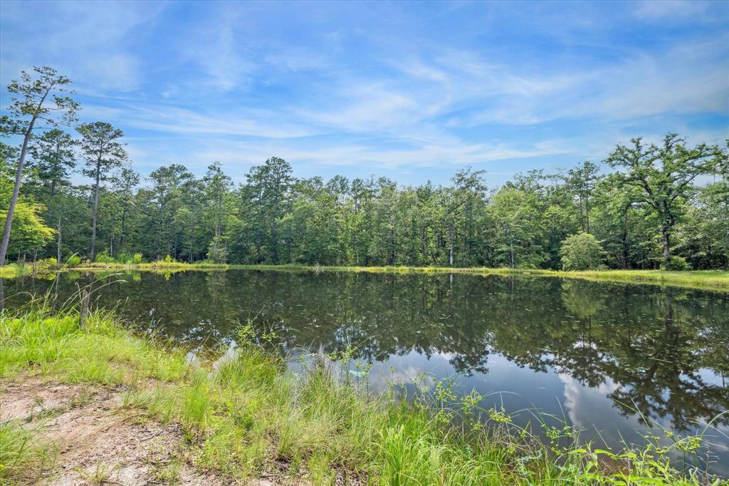 Fish your own stocked 1 acre pond on 11.284 acres of unrestricted land in beautiful Magnolia! Moreover, you can hunt your land, raise your own chickens, gather the morning's fresh eggs from a well-built hen house per seller! Numerous wildlife roam including deer, ducks, raccoons, and an occasional skunk! There is NO HOA, no thru road provides for a secluded feeling, but groceries and neighbors not far away!! The 3 bedroom, 2 bathroom home sits on 3 acres of cleared land. Come tour this expansive property today!! *Never Flooded Per Seller.