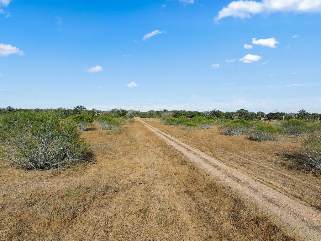 Tract 2- Located less than 10 miles from downtown Columbus, this 10-acre Colorado County property offers an ideal homesite with scattered mesquite trees, providing both privacy and natural charm. The land is outside of any FEMA floodplain, ensuring peace of mind. With an agricultural exemption in place, it's perfect for those looking to enjoy country living with low property taxes. Electric is available at the site, and the property features a new, all-weather gravel access road with gated entrance off Shaws Bend Rd offering added security. Abundant wildlife adds to the appeal, and convenient access to Hwy 71 and I-10 makes commuting a breeze. Light restrictions help protect your investment, ensuring long-term value and maintaining the area's desirable character. A perfect blend of seclusion, security, and convenience! Don't miss out—come see this incredible country property for yourself and envision the possibilities! NOTE- Additional acreage available.