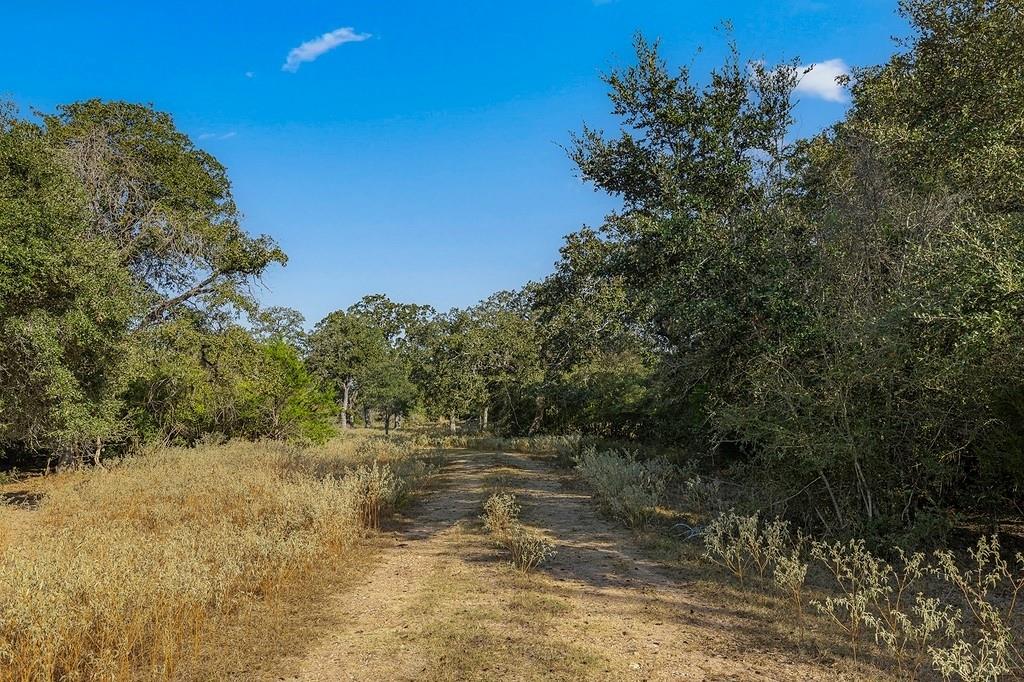 Tract 3- Located less than 10 miles from downtown Columbus, this 10-acre Colorado County property offers an ideal homesite with partial woods, providing both privacy and natural charm. The land is outside of any FEMA floodplain, ensuring peace of mind. With an agricultural exemption in place, it's perfect for those looking to enjoy country living with low property taxes. Electric is available at the site, and the property features a new, all-weather gravel access road with gated entrance off Shaws Bend Rd offering added security. Abundant wildlife adds to the appeal, and convenient access to Hwy 71 and I-10 makes commuting a breeze. Light restrictions help protect your investment, ensuring long-term value and maintaining the area's desirable character. A perfect blend of seclusion, security, and convenience! Don't miss out—come see this incredible country property for yourself and envision the possibilities! NOTE- Additional acreage available.