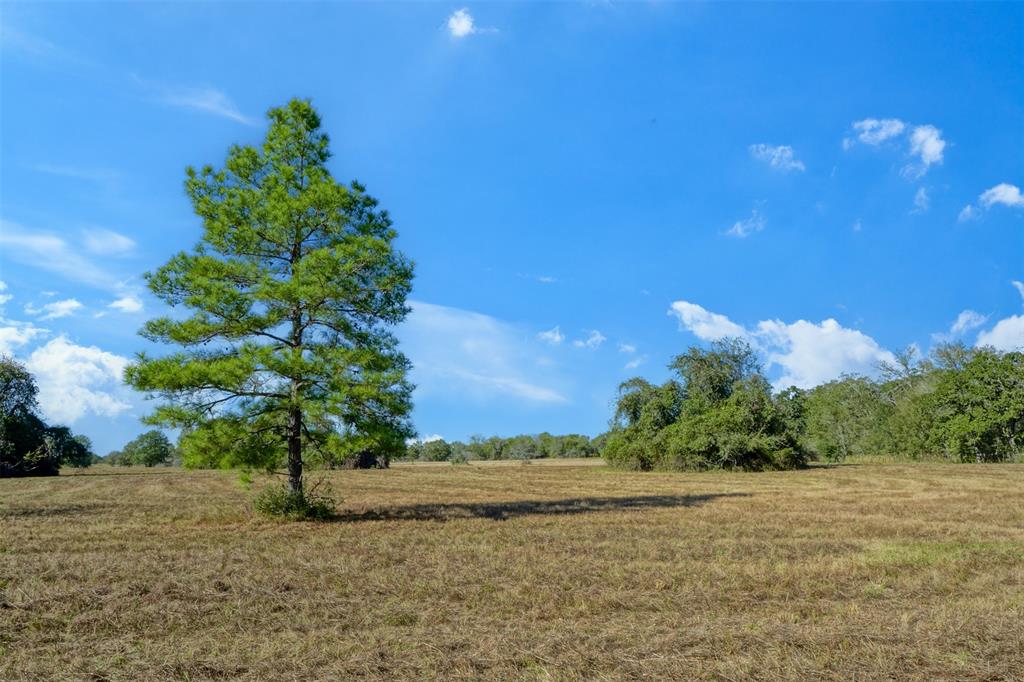 Discover the perfect blend of open land and natural beauty with this spacious 10.853-acre ag exempt lot, located within the highly sought-after Anderson-Shiro Independent School District. Offering a mix of open fields, scattered trees, and partially wooded areas, this property provides the ideal setting for building your dream home or simply enjoying the peace and privacy of country living. The lot is set back from the road, offering added seclusion and a serene atmosphere. Whether you envision expansive gardens, recreational areas, or your dream homestead, the versatility of this land allows for a variety of possibilities.