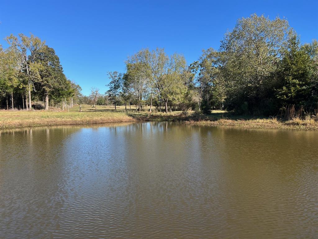 11 acres east of Centerville.  Beautiful setting with cabin and pond.  Cabin is one open room with beds, table, and kitchenette.  There is a small bathroom as well.  A good sized storage building and carport are great for storing tools and equipment.  All the equipment shown in pictures is included in the list price.  Great pond that has a water well piped to it to help offset dry summers.  Two water wells on the property ensure plenty of water.  There is a gas well at the front of the property,