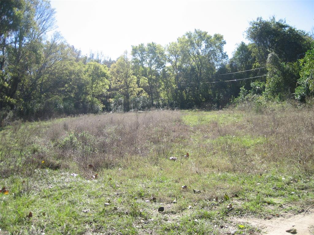 UNLIMITED POTENTIAL ON THIS 4.034 ACRES UNRESTRICTED TRACT. RESIDENTIAL, MULTI-FAMILY, COMMERCIAL ARE ALL POSSIBILITIES. ONLY MINUTES FROM DOWNTOWN GRAPELAND SCHOOLS, CHURCHES AND SHOPPING. UTILTIES AVAILABLE.