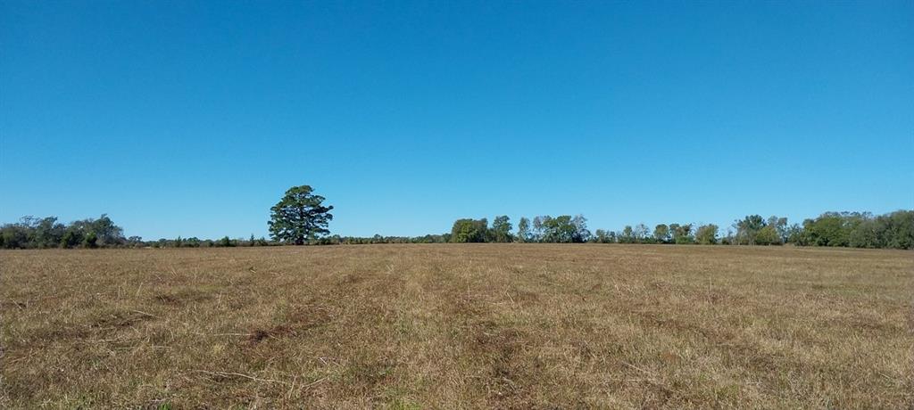 Escape to the country with this hidden gem! Gently rolling pasture land that features several small ponds, a small creek, fencing and cross fencing, and is suitable for ranching, hunting, and other outdoor activities. An existing pipeline runs through a portion of the property.